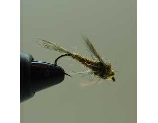 BF NINFA CABEZA DORADA GINGER 12