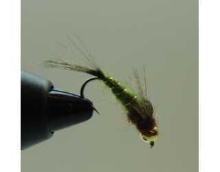 BF NINFA CABEZA DORADA OLIVA 10