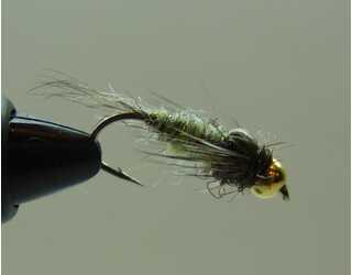 BF NINFA CABEZA DORADA LIGHT OLIVA 10