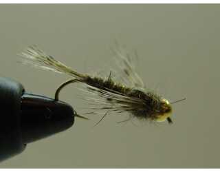 BF NINFA CABEZA DORADA OREJA LIEBRE 10