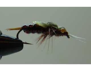 BF NINFA DE PERLIDO 10