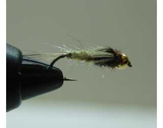 BF NINFA CABEZA DORADA LIGHT OLIVA 12