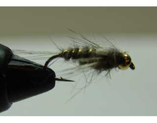 BF NINFA CABEZA DORADA OREJA LIEBRE 12