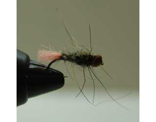 BF NINFA CABEZA NARANJA FLUOR LIEBRE Nº12