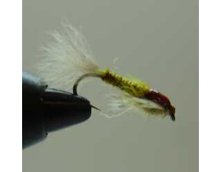 BF NINFA EFEMERA GINGER 10  BF NINFA EFEMERA GINGER 10