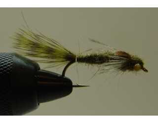 BF NINFA DE ODONATO 08