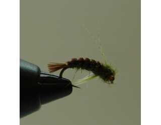 BF NINFA PATOSA OLIVA 10