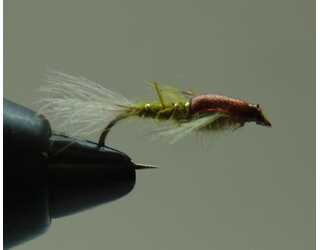 BF NINFA EFEMERA GINGER 12