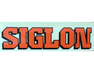 ADHESIVO SIGLON 90x20 mm