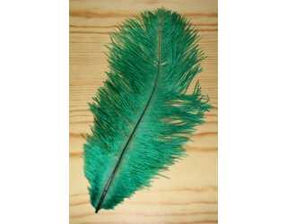 PLUMA AVESTRUZ VERDE  PLUMA AVESTRUZ VERDE