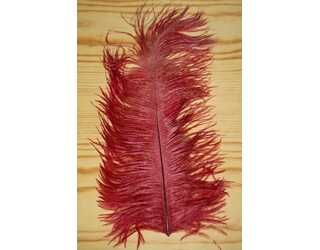 PLUMA AVESTRUZ, WINE  PLUMA AVESTRUZ, WINE