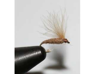 MOSCA EFEMERA BEIGE Nº18  MOSCA EFEMERA BEIGE Nº18