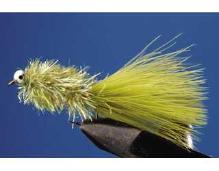 EYED STREAMER ANZ 8 OLIVE