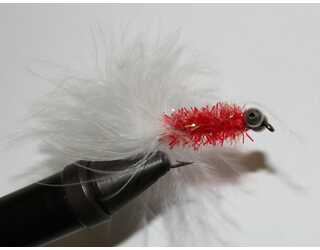 EYED STREAMER WHITE/RED EYED STREAMER WHITE/RED