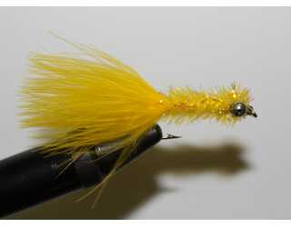 EYED STREAMER YELLOW EYED STREAMER YELLOW