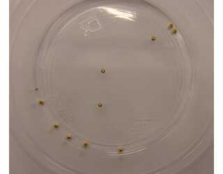 CABEZA DORADA 1,7mm (10unidades) CABEZA DORADA 1,7mm (10unidades)