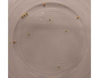 CABEZA DORADA 1,4mm (10unidades) CABEZA DORADA 1,4mm (10unidades)