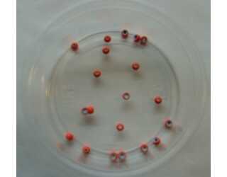 CABEZA NARANJA 4,5mm (20unidades) CABEZA NARANJA 4,5mm (20unidades)