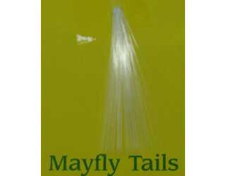 MAYFLY TAILS BLANCO PISCATOR FLY  MAYFLY TAILS BLANCO PISCATOR FLY