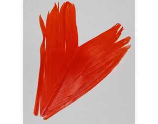 SUSTITUTO DE CONDOR ORANGE  SUSTITUTO DE CONDOR ORANGE