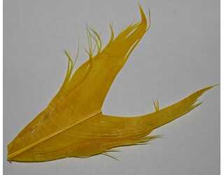 SUSTITUTO DE CONDOR YELLOW  SUSTITUTO DE CONDOR YELLOW