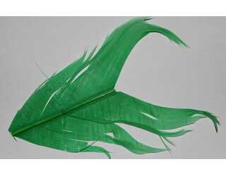 SUSTITUTO DE CONDOR GREEN  SUSTITUTO DE CONDOR GREEN