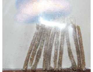 BODY EMERGEN HARE'S EAR BODY EMERGEN HARE'S EAR