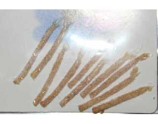 BODY EMERGEN LIGHT AMBER BODY EMERGEN LIGHT AMBER