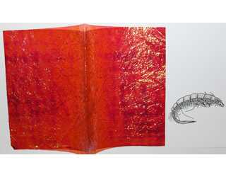 FLASHBACK PLUS 0,03mm(100X145mm) RED BROWN  FLASHBACK PLUS 0,03mm(100X145mm) RED BROWN