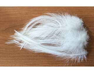 PLUMA BLANCA TURBO (12 unidades) PLUMA BLANCA TURBO (12 unidades)