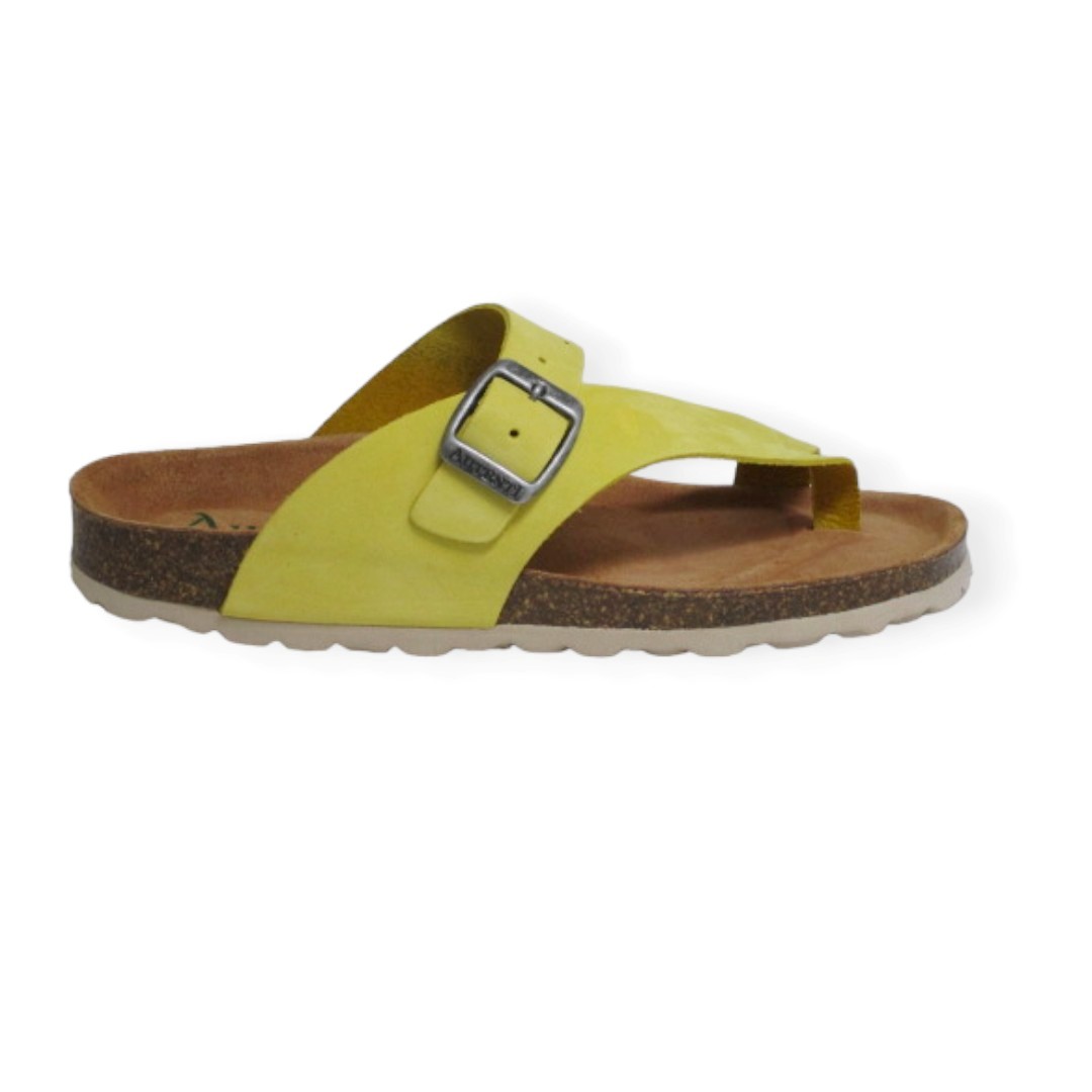 PENTA 4248 SP MUSTARD