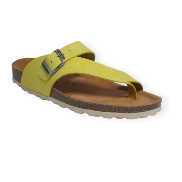 PENTA 4248 SP MUSTARD