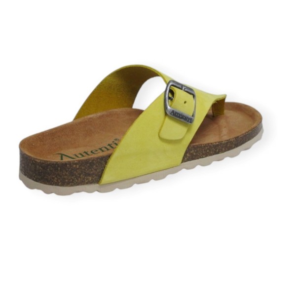 PENTA 4248 SP MUSTARD