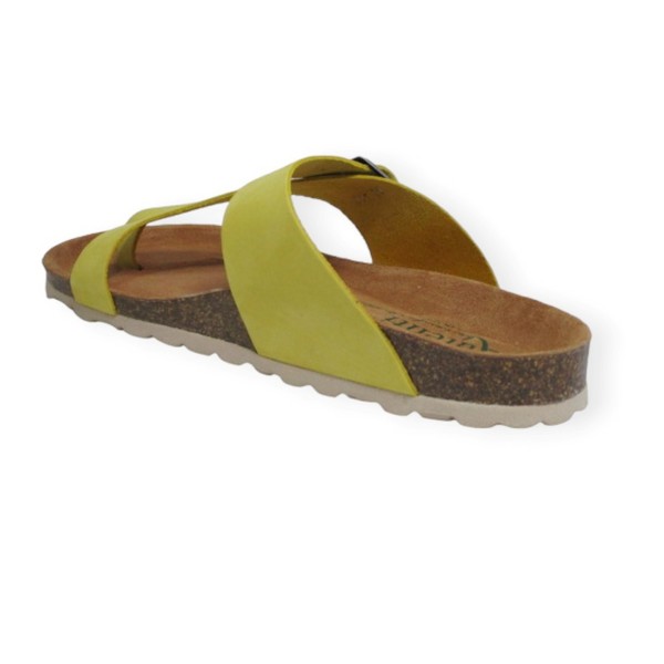 PENTA 4248 SP MUSTARD