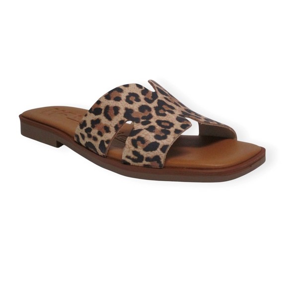 GARZON 250213 LLEOPARD