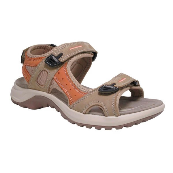 RKC.BANYOTES-MAC.CALIFORNIANA.W. PAREDES