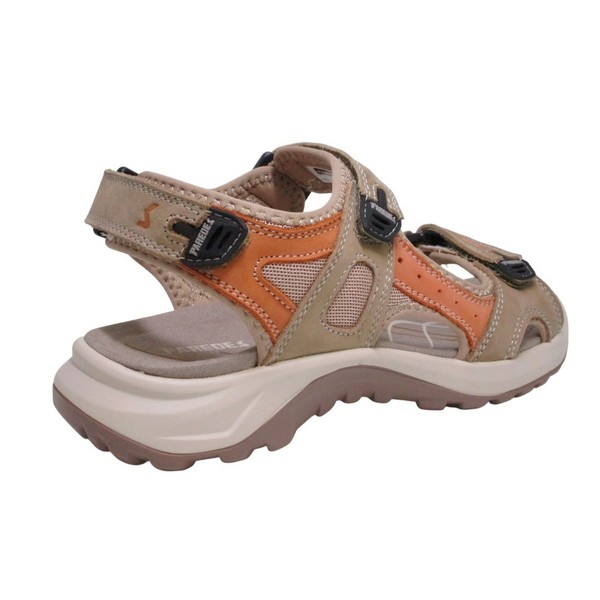 RKC.BANYOTES-MAC.CALIFORNIANA.W. PAREDES