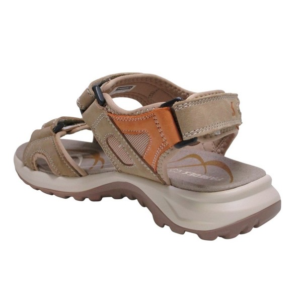 RKC.BANYOTES-MAC.CALIFORNIANA.W. PAREDES