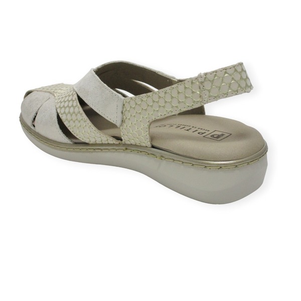PITILLOS 5003 GOLD
