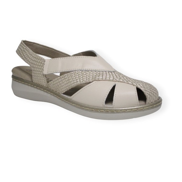 PITILLOS 10302 GOLD 2