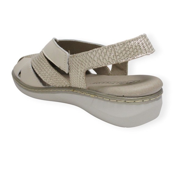 PITILLOS 10302 GOLD 4