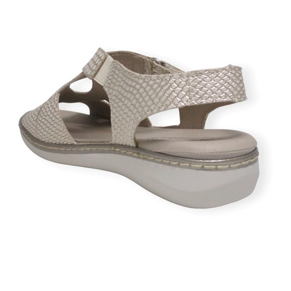 PITILLOS 10303 GOLD
