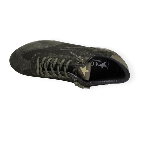 CETTI C-1381 MUSGO