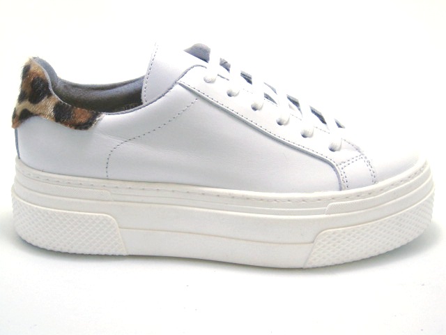 BELANG A22 WHITE.