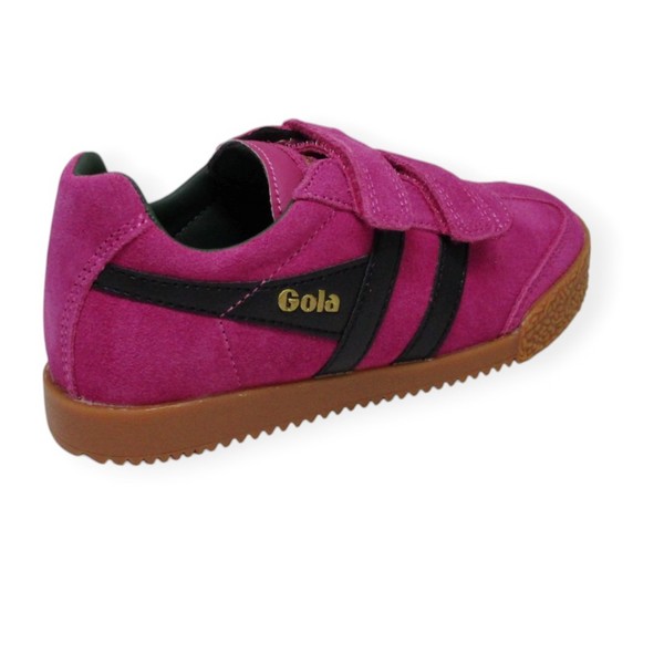 GOLA HARRIER S GRAPH FUCSIA