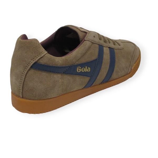 GOLA HARRIER TOBACCO