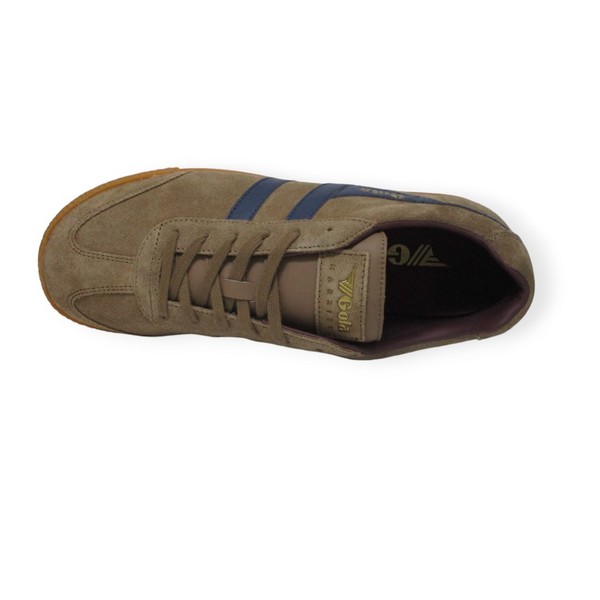 GOLA HARRIER TOBACCO