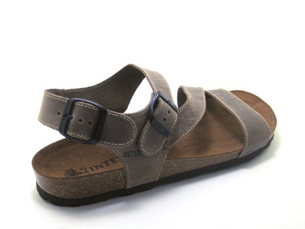 INTER-BIOS 9557 PARDO