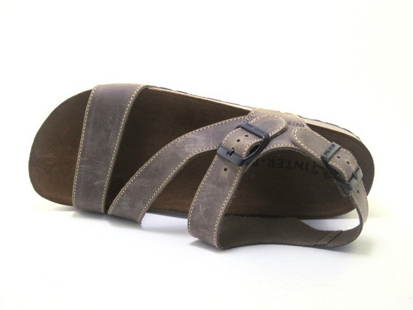 INTER-BIOS 9557 PARDO