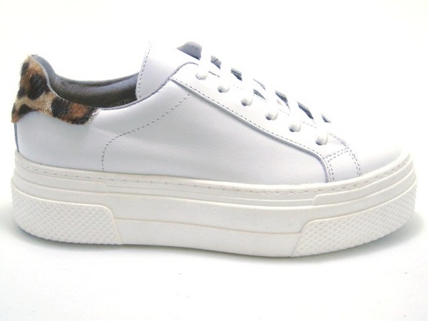 BELANG A22 WHITE.